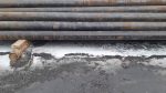 Casing 7" / TPCO/ 35 ppf/ P110/ Conn: TP-CQD/R3/PSL3